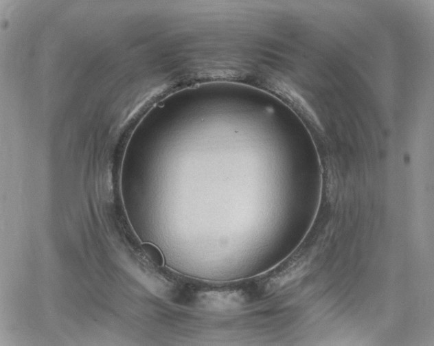 X0000066520251200603241344