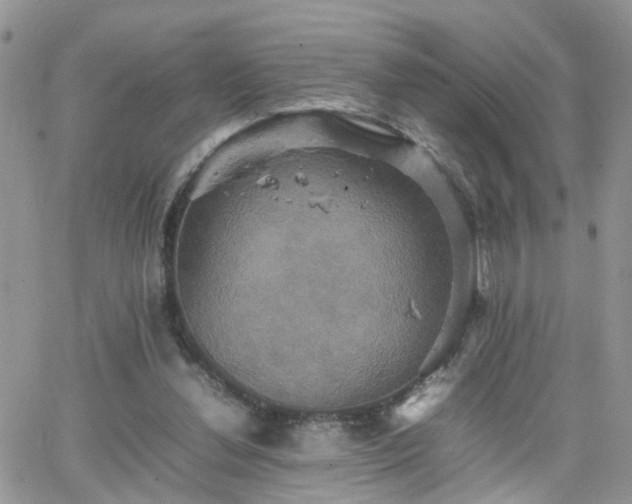 X0000066520252200603241344