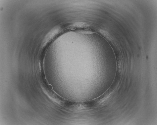 X0000066520254200603241344