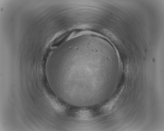 X0000066520256200603241344