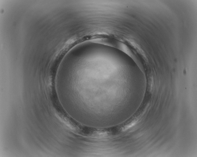 X0000066520260200603241344