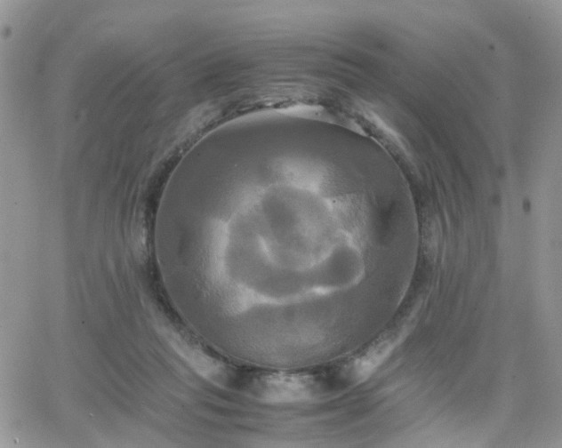 X0000066520261200603241344