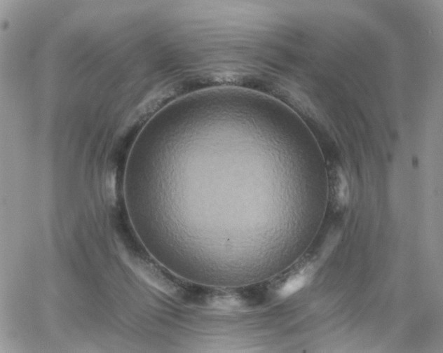 X0000066520262200603241344