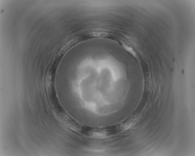 X0000066520263200603241344