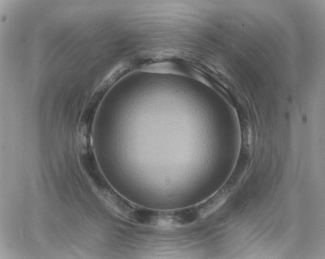 X0000066520264200603241344