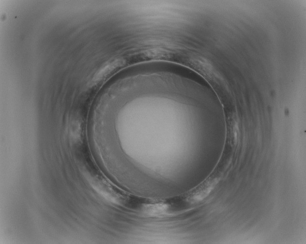 X0000066520266200603241344