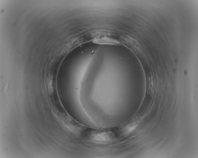 X0000066520267200603241344