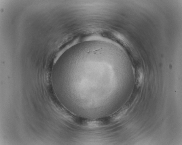 X0000066520268200603241344