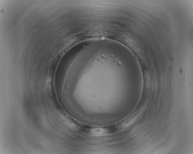 X0000066520269200603241344