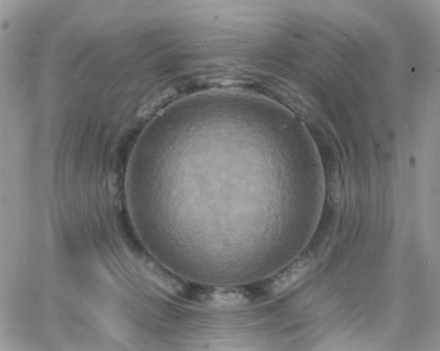 X0000066520270200603241344