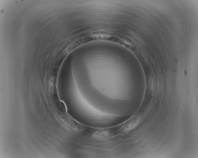 X0000066520271200603241344