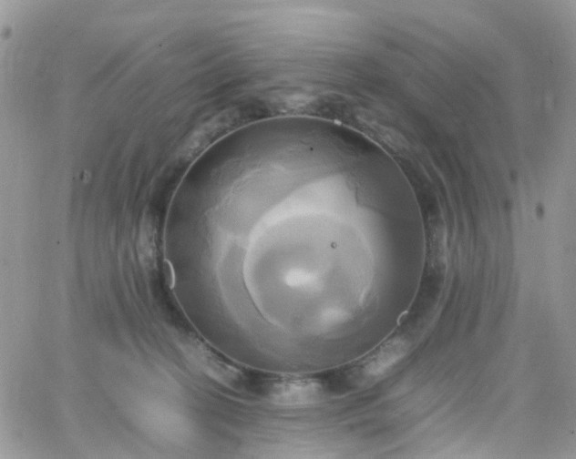 X0000066520274200603241344