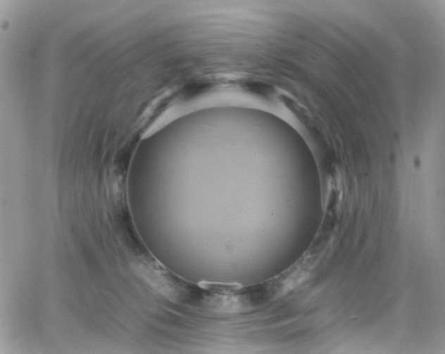 X0000066520276200603241344