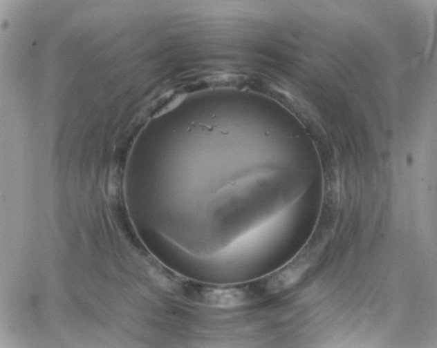 X0000066520277200603241344