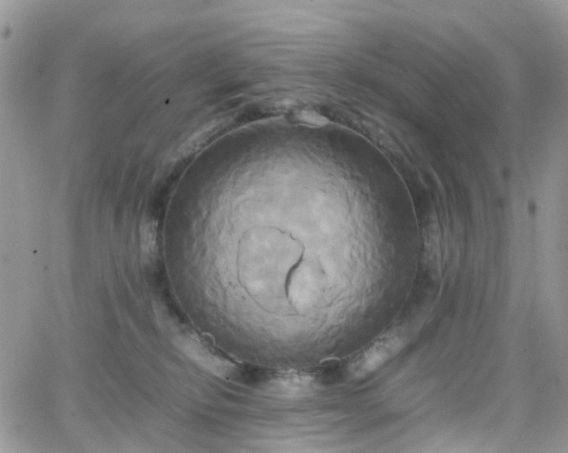 X0000066520278200603241344