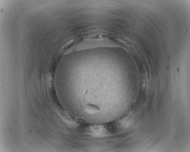 X0000066520279200603241344