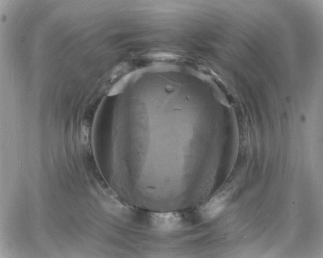 X0000066520281200603241344