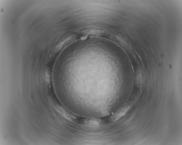 X0000066520282200603241344