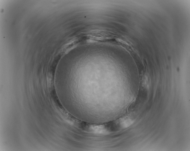 X0000066520283200603241344