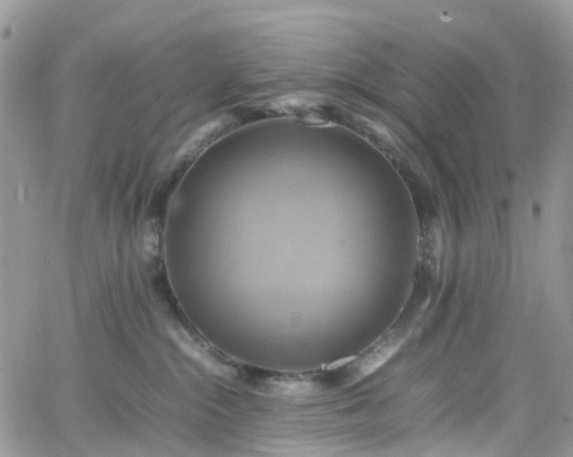 X0000066520284200603241344