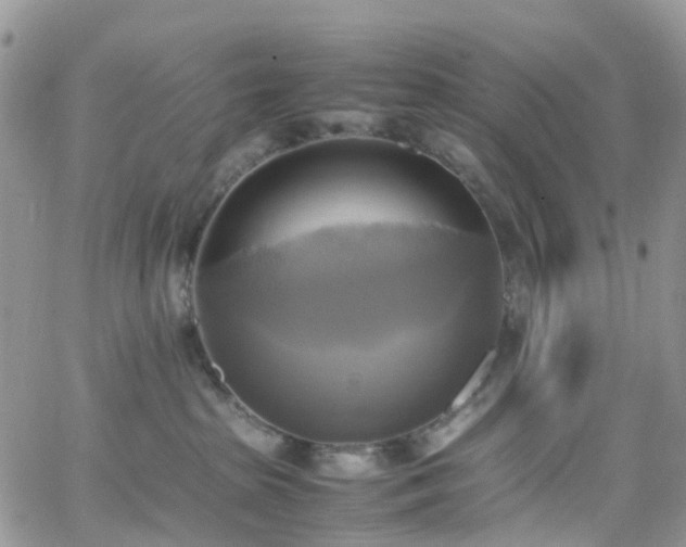 X0000066520285200603241344