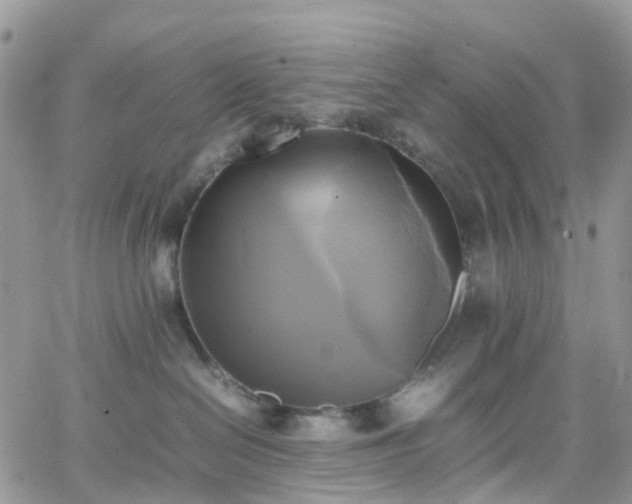 X0000066520286200603241344