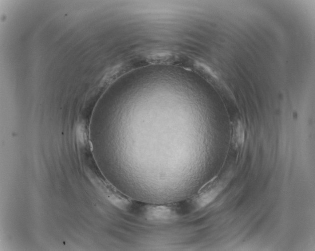 X0000066520287200603241344