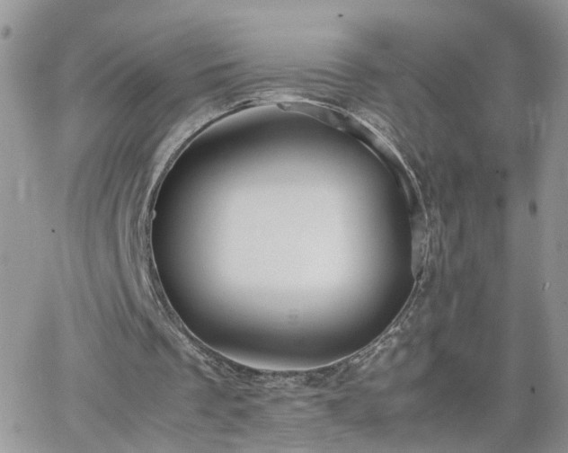 X0000066520289200603241343