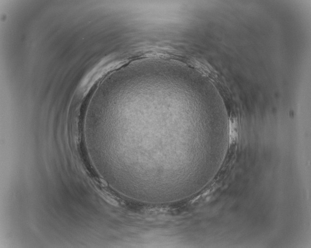 X0000066520291200603241343