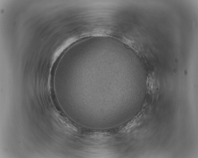 X0000066520292200603241343