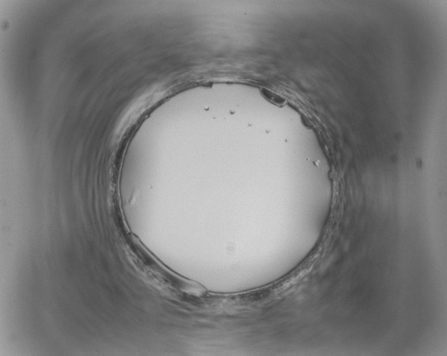 X0000066520293200603241343