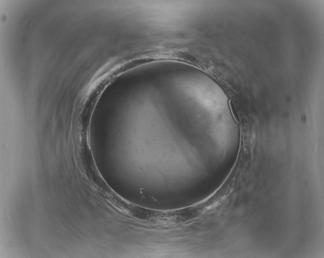 X0000066520295200603241343