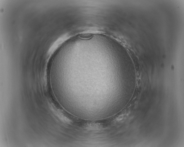 X0000066520296200603241343