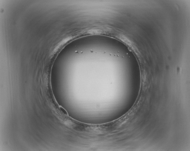 X0000066520297200603241343