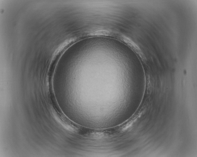 X0000066520298200603241343