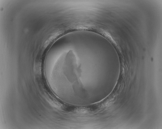 X0000066520299200603241343