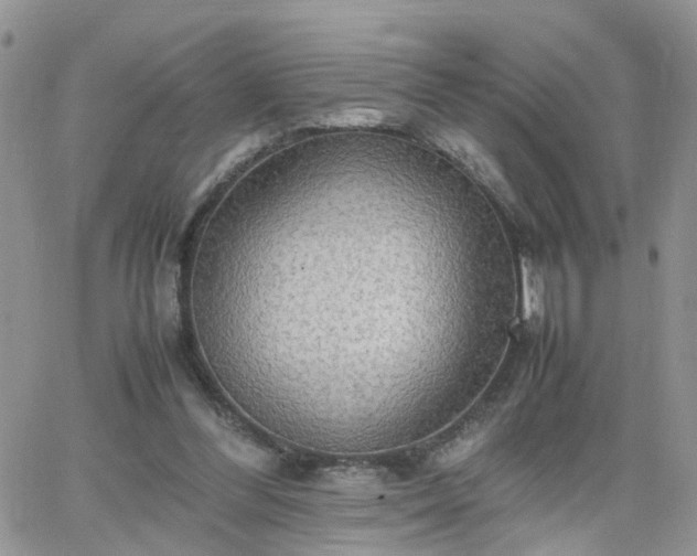 X0000066520300200603241343