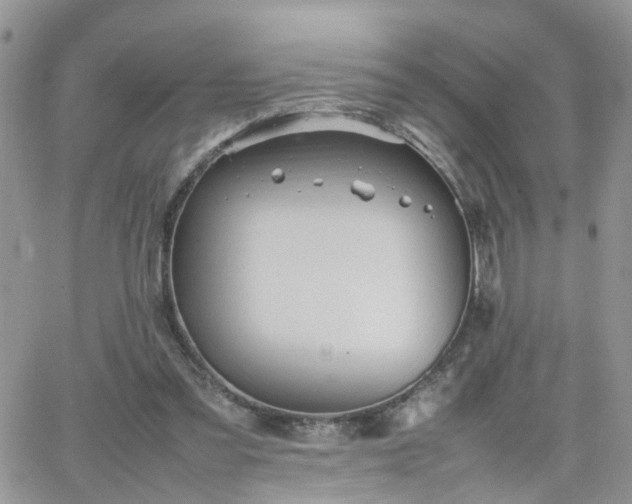 X0000066520301200603241343