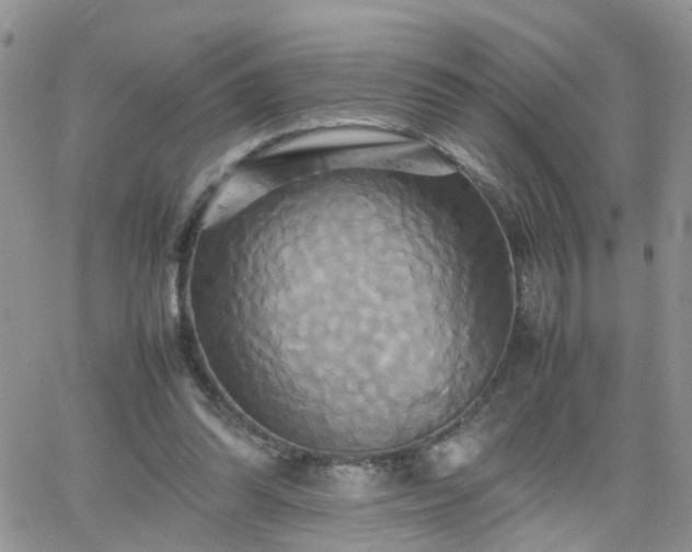 X0000066520302200603241343