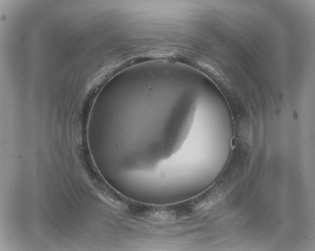 X0000066520303200603241343