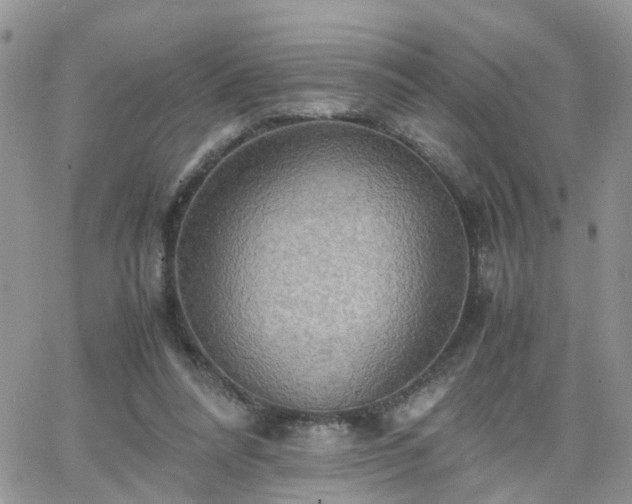 X0000066520304200603241343