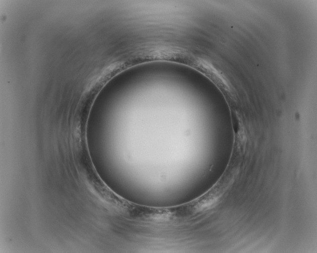 X0000066520306200603241343