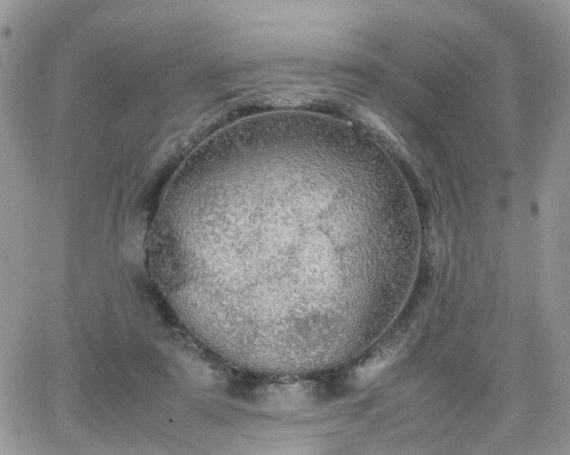 X0000066520307200603241343