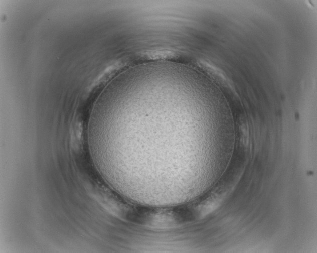 X0000066520308200603241343