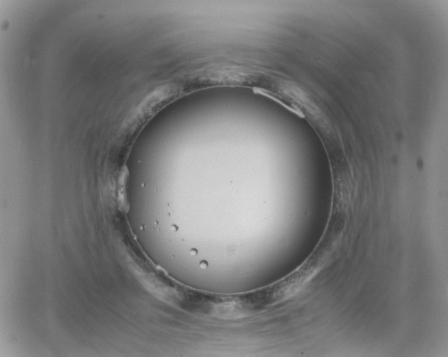 X0000066520309200603241343