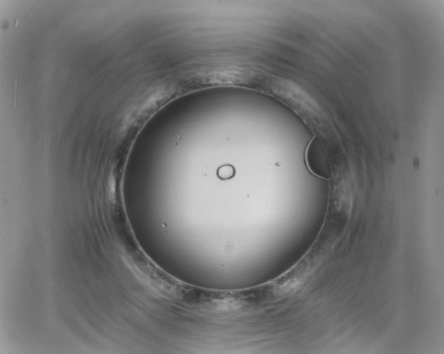 X0000066520310200603241343