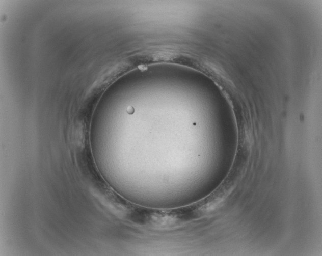 X0000066520311200603241343