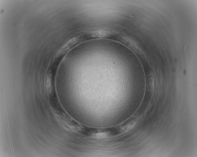 X0000066520312200603241343