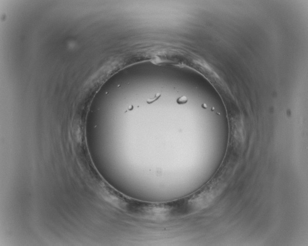 X0000066520313200603241343