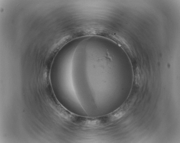 X0000066520314200603241343